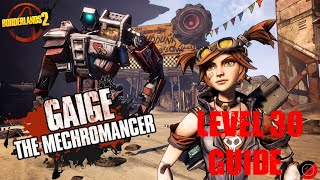 Beginners Guide to Gaige the Mechromancer | Level 30 Guide | Borderlands 2