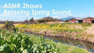 田舎の景色を見ながら春の音を聴く | 3時間 spring sound in japan |  ASMR |  睡眠