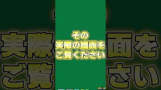 【音ゲー1分解説】音ゲーなのに途中でドラゴンが乱入してくる衝撃譜面 好きな惣菜発表ドラゴンを解説【CHUNITHM】#shorts