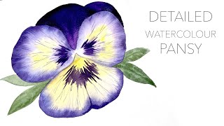 Detailed Watercolour Pansy