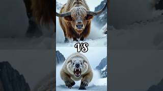 Yak vs dinosour ( tiger vs elephant)| #shorts #animals #trending