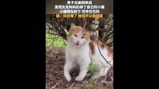 这么可爱的小猫咪怎么舍得扔掉 #shorts