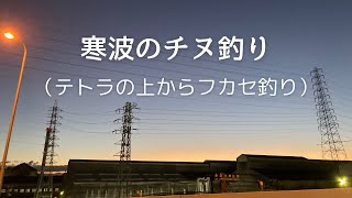 寒くても、フカセでチヌ釣り