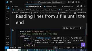 (SY) file Readline() method in python