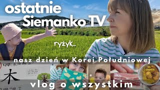 Ostatnie Siemanko TV... Nasz zwykły dzień w Korei - daily vlog o życiu w Korei