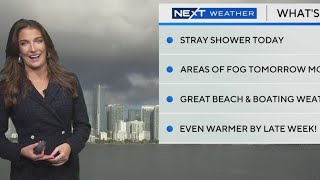 South Florida weather for Sunday 02/09/2025 8AM