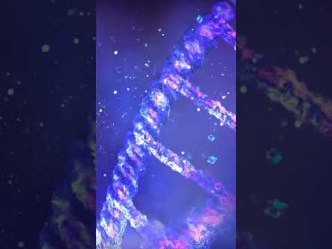 What are three risks of genetic engineering?