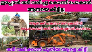 തടി വലിക്കുന്ന crane എന്ന ആനയെ കൊണ്ട് തടി വലിപ്പിക്കുന്നത് കാണാം