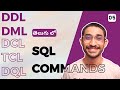 DDL DML SQL Commands | SQL Telugu