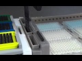 LiHa multipipetting