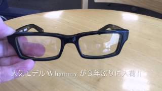 EFFECTOR の大人気モデル　whammy　がついに入荷 !!(小金井市　眼鏡)