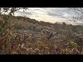 huge pennsylvania public land buck