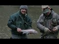 epic late fall steelhead fishing ohio u0026 pennsylvania