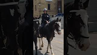 CNE Mounted Police