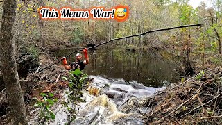 These Beavers Ain't Playing Around! || Beaver Dam Removal Downstream At The Culvert! S3 EP.2!