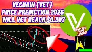 VeChain (VET) Price Prediction 2025 Will VET Reach $0.30?