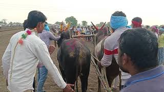 बागड चा सुट्टीचा थरार