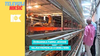 ŽIVINARSKA FARMA JOVOVIĆ NAJSAVREMENIJA U CRNOJ GORI