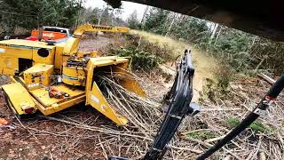 Vermeer 1250 Chipper Devouring Trees