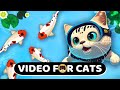 CAT GAMES - KOI FISH - 1 HOUR. Fish Video for Cats | CAT TV.