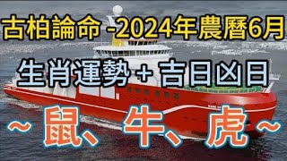 【古柏論命每月運勢+吉日凶日】2024年農曆六月(陽曆2024年7/6 ~ 8/3)生肖運勢分享 -  鼠、牛、虎