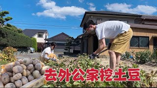 日本生活vlog/把倆孩子放婆家，我和老公去外公家挖土豆