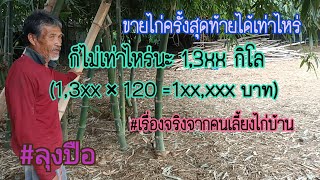 ฟาร์มไก่บ้าน ครบวงจร-เล้าพ่อแม่พันธุ์ -ตู้ฟัก-โรงอนุบาล-โรงขุนและตลาดรับซื้อ #จังหวัดสระแก้ว