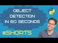 Object Detection in 60 Seconds using Python and YOLOv5 #shorts