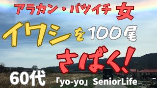 60代「yo-yo」アラカン・バツイチ/女/「イワシ」を約100本さばけるのか！？/熟年離婚/シニアライフ/セカンドライフ