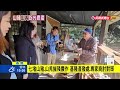 不能抓不能殺！山豬、山羌組團吃霸王餐　七堵2農作物被啃光－民視新聞