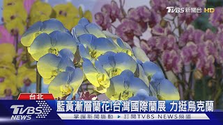 世界三大!台灣國際蘭展 26日台南盛大登場｜TVBS新聞