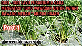 GEJALA TANAMAN BAWANG MERAH YANG TERKENA LAYU FUSARIUM \