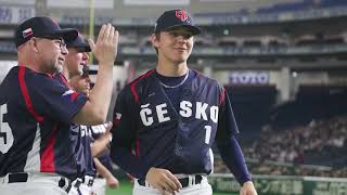 Baseball Zen: World Baseball Classic (Baseball ASMR)