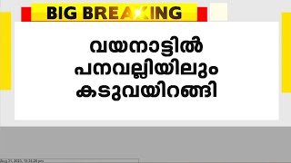 വയനാട്ടിൽ പനവല്ലിയിലും കടുവ ഇറങ്ങി; കൂട് വെച്ച് പിടികൂടണമെന്ന് നാട്ടുകാർ