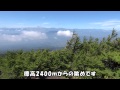 黒パグナイトの山梨 富士山五合目 奥庭自然公園でバードウォッチング☆彡