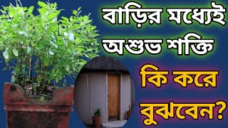 বাড়ির মধ্যেই অশুভ শক্তি কি করে বুঝবেন?bastu tips|@jyotish-o-totka6683|#totka #spiritual