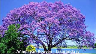 Anneli van Rooyen - Jakaranda jy