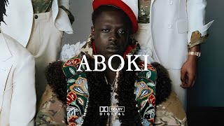 (FREE) Pa Salieu x Rema Afro-Fusion type beat - ABOKI | Afrobeat Instrumental