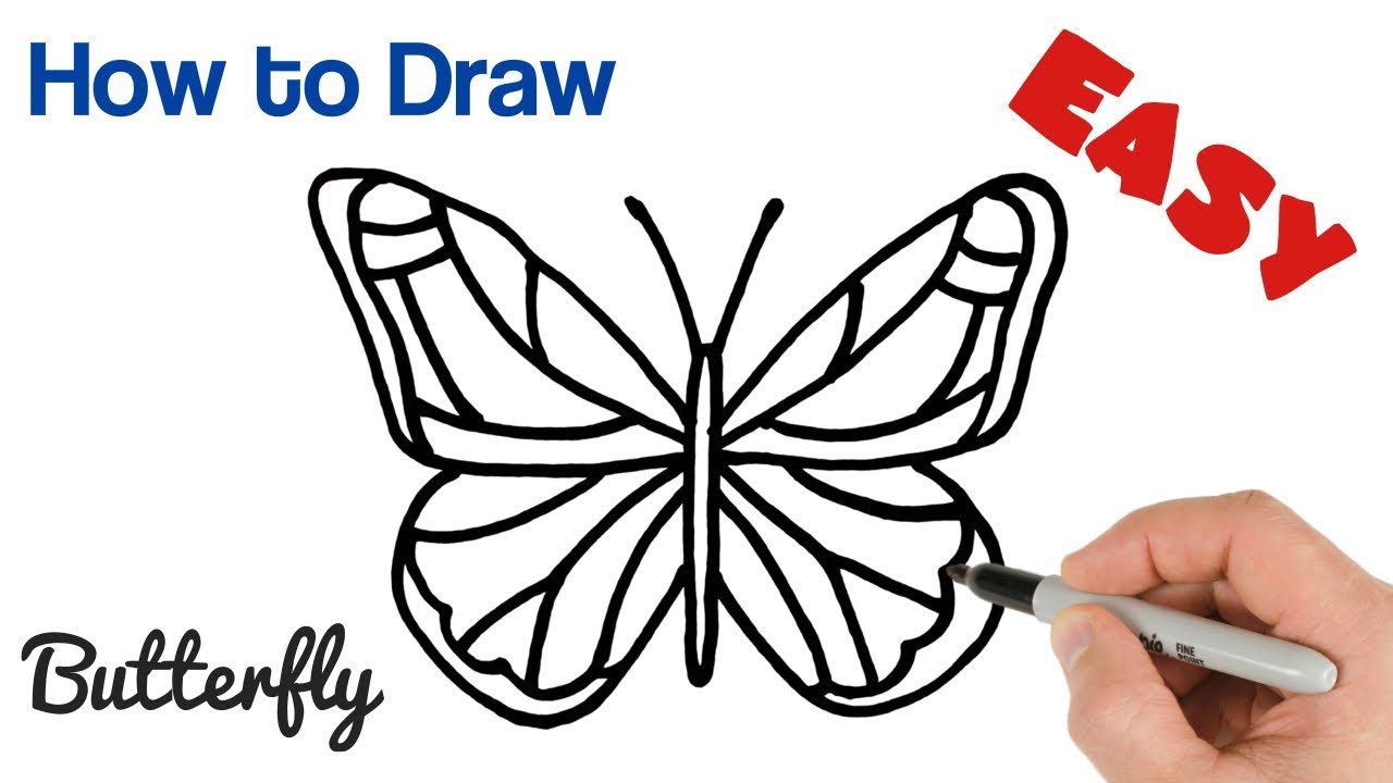 Step By Step Drawing A Butterfly - Draw Space