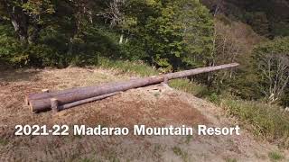 【Madarao Mountain Resort】Tree-run course \