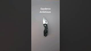 Spyderco Ambitious. Edge test. EDC