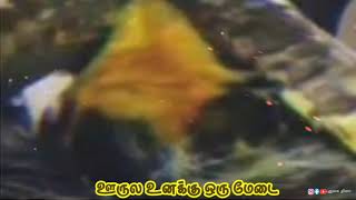 ஊருல உனக்கு ஒரு மேடை