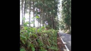 街道を自転車でゆく　その1 （≪スタート≫日本橋～日光）