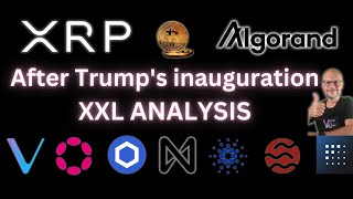 XXL Analysis - After Trump's Inauguration: BTC, DOT, ADA, LINK, ALGO, XRP, SEI, VECHAIN, FET, CKB,