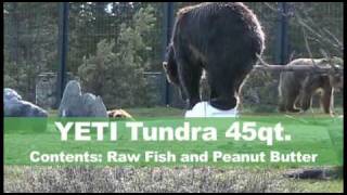 Craziest Product Testing EVER! YETI Cooler vs. BEAR