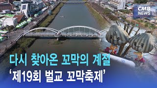 [리포트] 다시 찾아온 꼬막의 계절, 제19회 벌교 꼬막축제 개최 (광주·전남 CMB 뉴스와이드 2023.10.13)