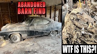 First Wash In 30 Years: ABANDONED Barn Find Buick Skylark Disaster Detail! | Satisfying Restoration