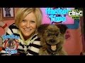 Hacker's Sue Barker Wimbledon Song - Hacker Time CBBC