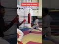 Great Fighting Technique