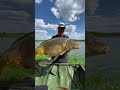 jak Łowić duże karpie aromatyzuj method booster feederfishing methodfeeder fish ryby karpie